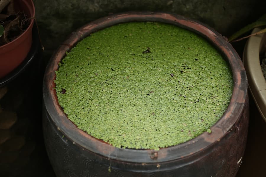 Photo potting compound