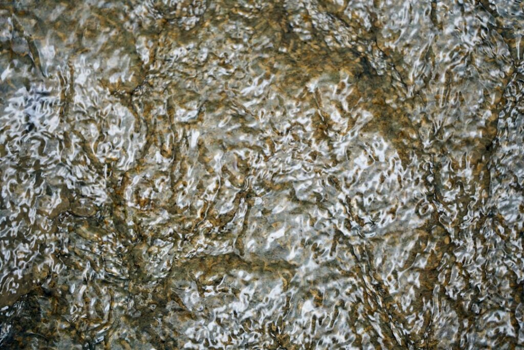 Photo thermoplastic vulcanizate
