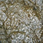 Photo thermoplastic vulcanizate