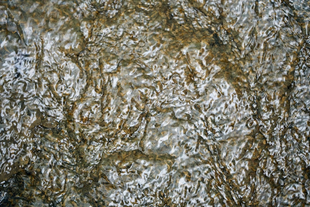 Photo thermoplastic vulcanizate