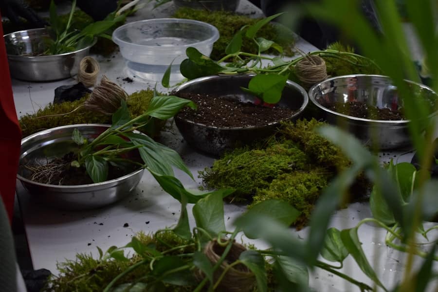 Photo potting